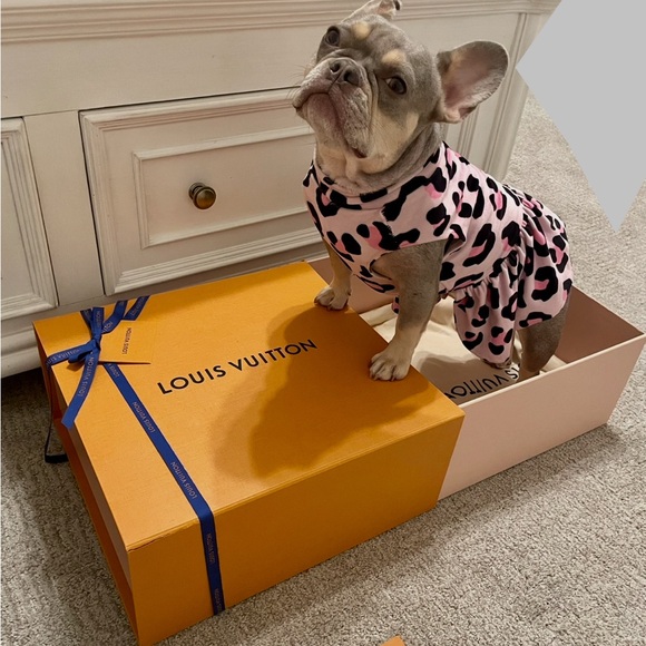 Zealous in all domains - Picture 9 of 16